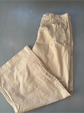 Everlane Khaki Straight-Leg Chinos in Light Tan